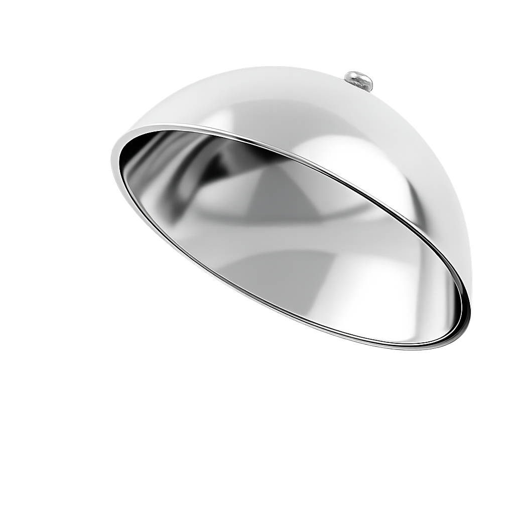 Silver Lid